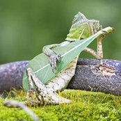 Foto de Daniel Russek
