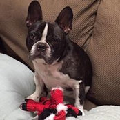 Carrie Gruber's photo
