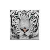 Lucas Keek's photo