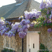 Milaena Osborne's photo