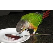 Jason Makoulis's photo