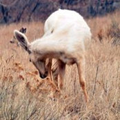 Jenn Desjardins's photo