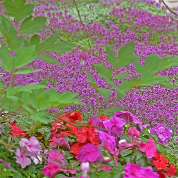 Residential Landscape