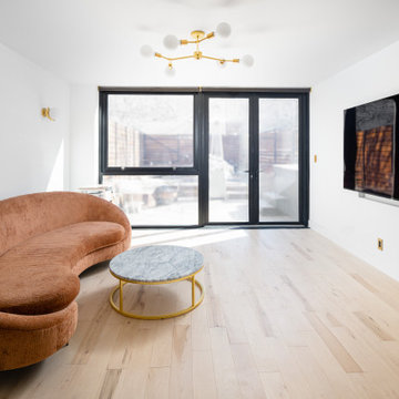 Williamsburg Apartment Renovation