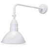 10" Barn Light Fixture with Adjustable 19 3/4" Curved Arm, 5000k - Cool White (9