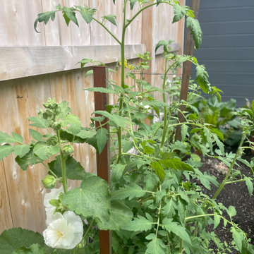 Terraced Gardens