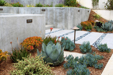 Design ideas for a modern landscaping in San Diego.