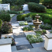 Shrub Garden Backyard