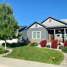 Northern Colorado before and after xeriscaping