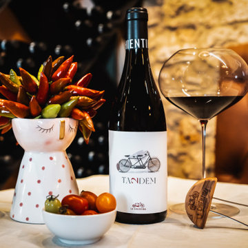 SALA DEGUSTAZIONE - AZIENDA VINICOLA