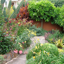 front garden