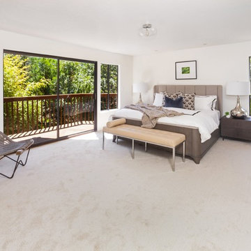 Mill Valley Contemporary