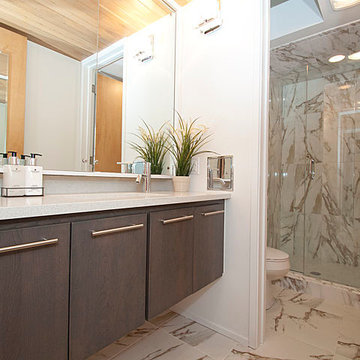Mid-Century Modern Renovation