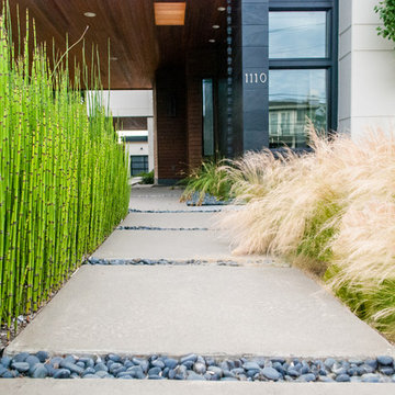 Contemporary in Kirkland