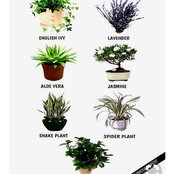 Mela Vargas's photo