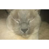 Cindy Hobson's photo