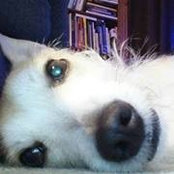 Melissa Earley's photo