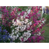 Gail Fredrickson's photo