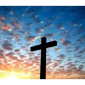Mary Dominick's photo