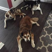 Kim Walecka's photo