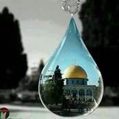 Rasha Nafash's photo