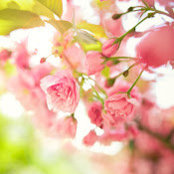 Stuti Gupta's photo