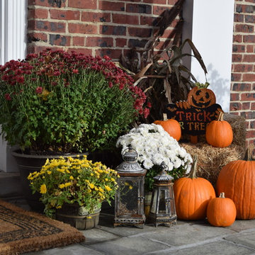 Holiday Decor