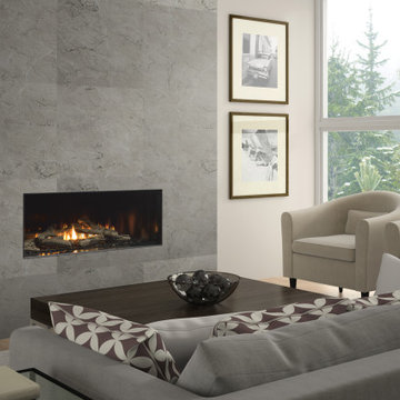 City Series - New York View 40" Gas Fireplace