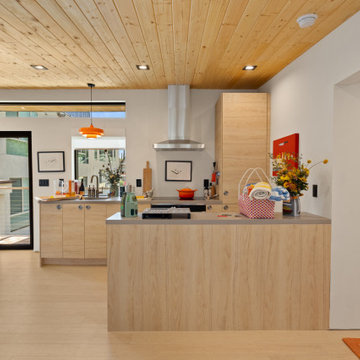Modern ADU w/ Art Gallery & Rooftop Deck- NextGen Home Builders in Highland Park