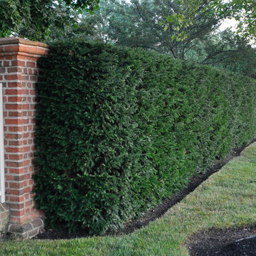 Walled Garden