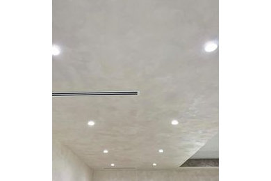 Luxury Ceiling