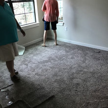 New apartment