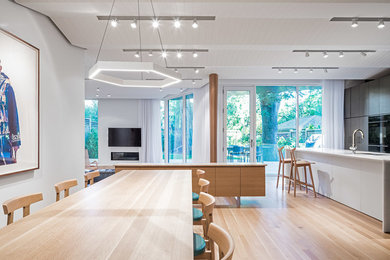 Kitchen - contemporary kitchen idea in Toronto