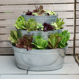 Achla Designs Petit Potager (PT-25) for Container Gardening - Products