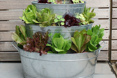Achla Designs Petit Potager (PT-25) for Container Gardening