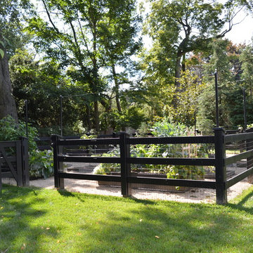 Vegetable Garden