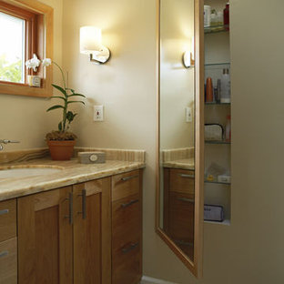 Medicine Cabinets Without Mirror Houzz