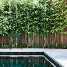 Courtyard Ideas