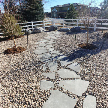 Xeriscaping