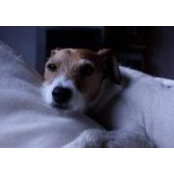 Julii Oh's photo