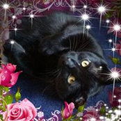 Barbara Penley's photo
