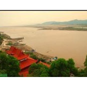 Gordon Lin's photo