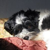 Brian Hertzog's photo