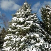 Laura Munski's photo