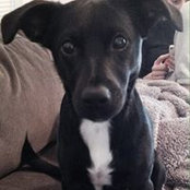 Dena Hirsch's photo