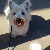 Jason Lee's photo
