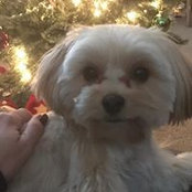Tori Mooneyham's photo
