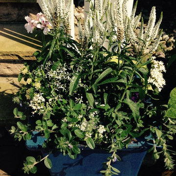 Container Gardens