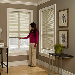 BlindSaver Basics 1" Cordless Mini Blind - Window Blinds