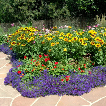 Southwest Oasis